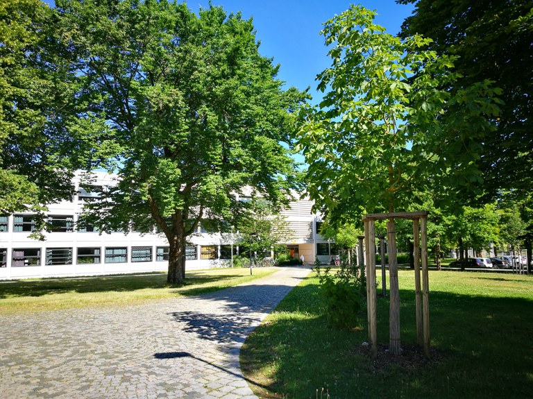 Building 36 - Dean's Office and Different Institutes