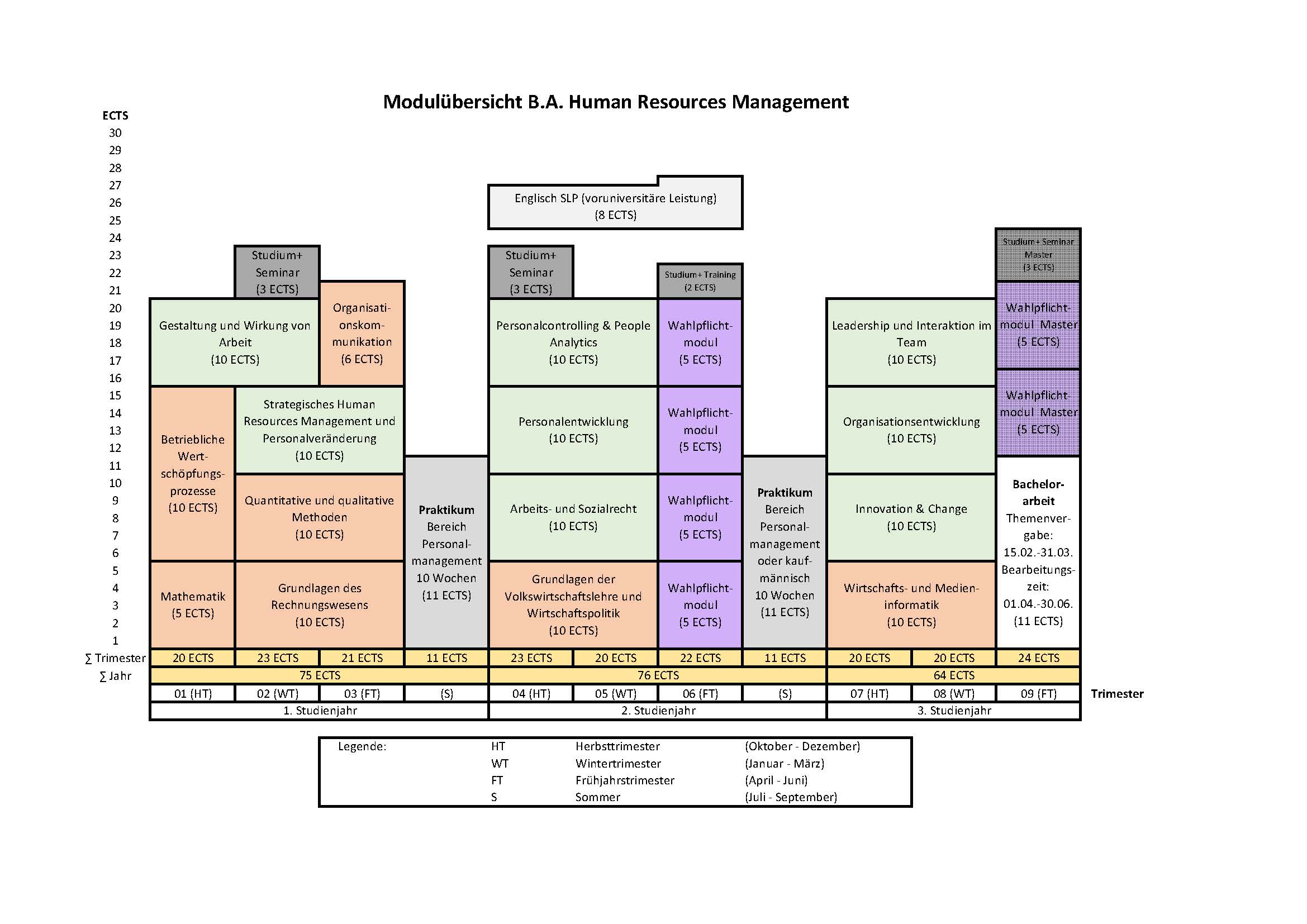 Modulübersicht B.A. Human Resources Management