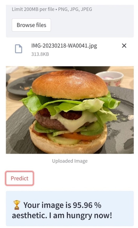 Screenshot einer Anwendung zur Klassifikation der Ästhetik von Speisen und Getränken auf Basis der trainierten Modelle.