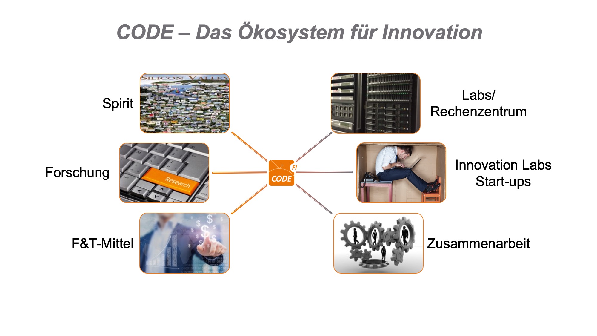 CODE_Oekosystem.jpg