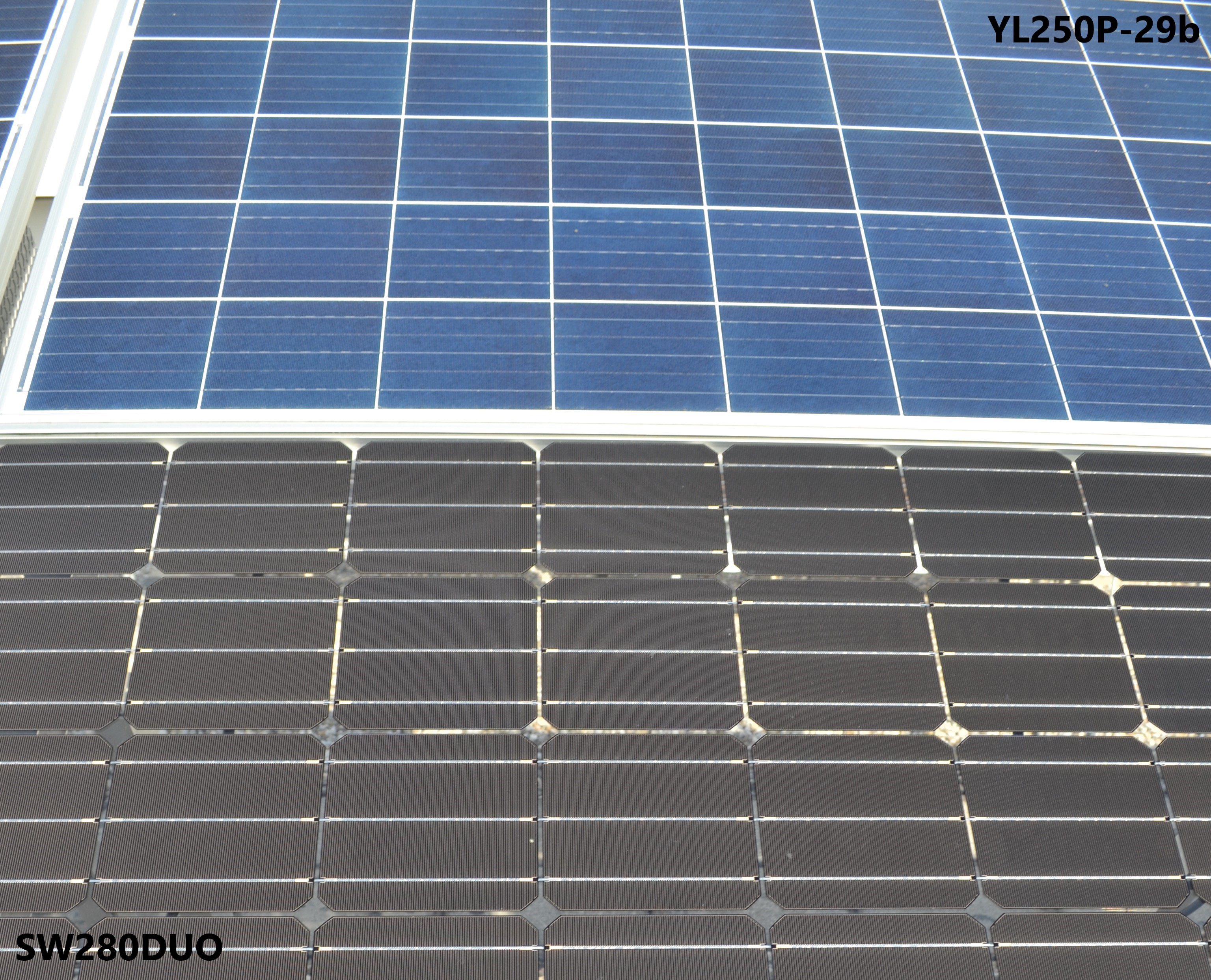 Unterschiede der Vorderseiten