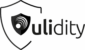 vulidity_Logo.png