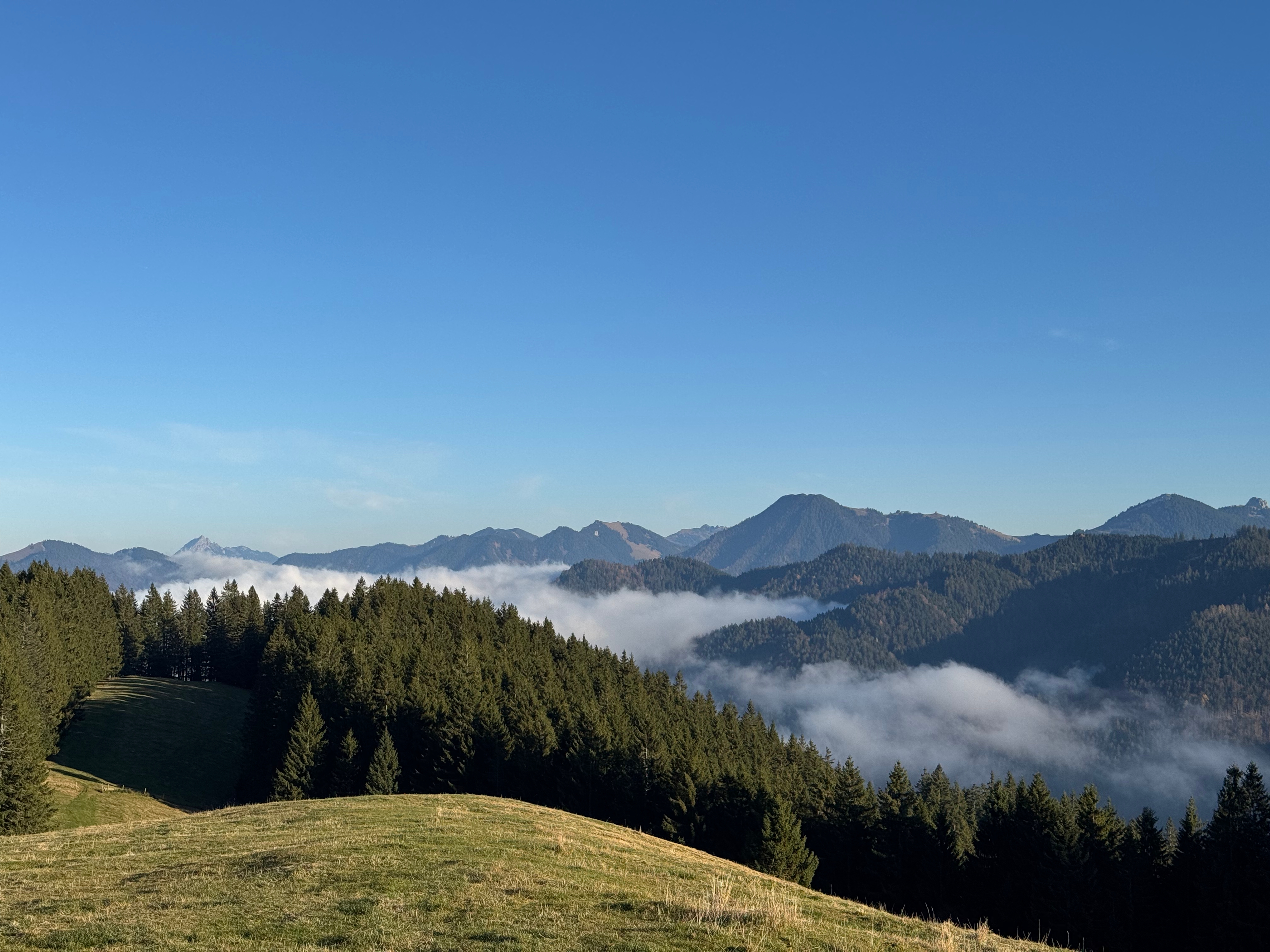 Almaussicht Fockenstein.jpg