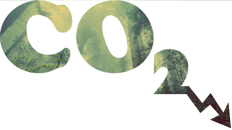 CO2_2.jpg