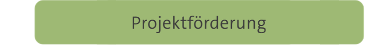 Projektförderung von innovativen Forschungsideen (externer inhouse-Link mit Login)
