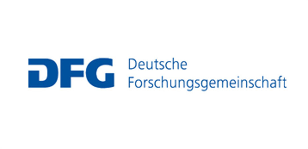 dfg_logo_schriftzug_blau.jpg
