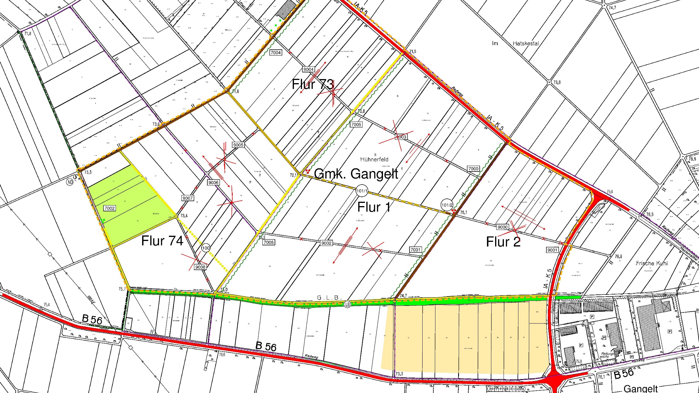 Institute of Geodesy