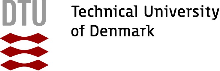 technical-university-of-denmark-logo.jpg