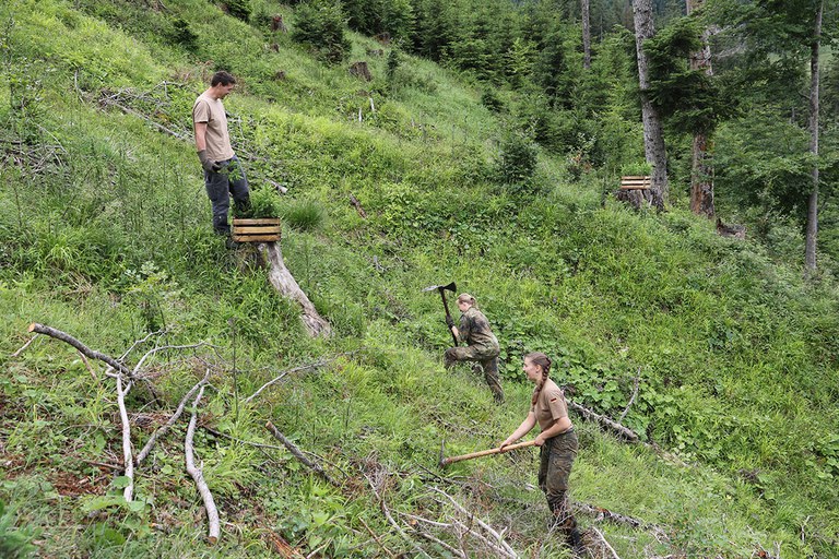 Drei Soldatinnen und Soldaten bereiten den Waldboden am Hang mit Werkzeugen für die Bepflanzung vor