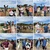 For this year’s institute excursion, we left the office behind and headed to Lamaland Loher for an afternoon in the company of some rather special hiking companions. The llama hike offered a particularly enjoyable and relaxing counterbalance to everyday work.