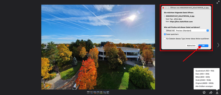 Flickr Bilderdownload