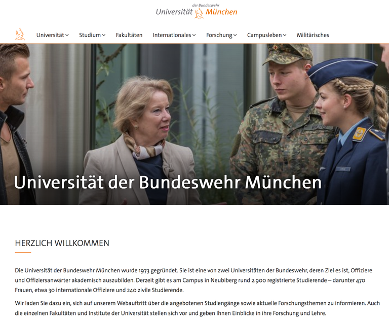 Content in einer Website