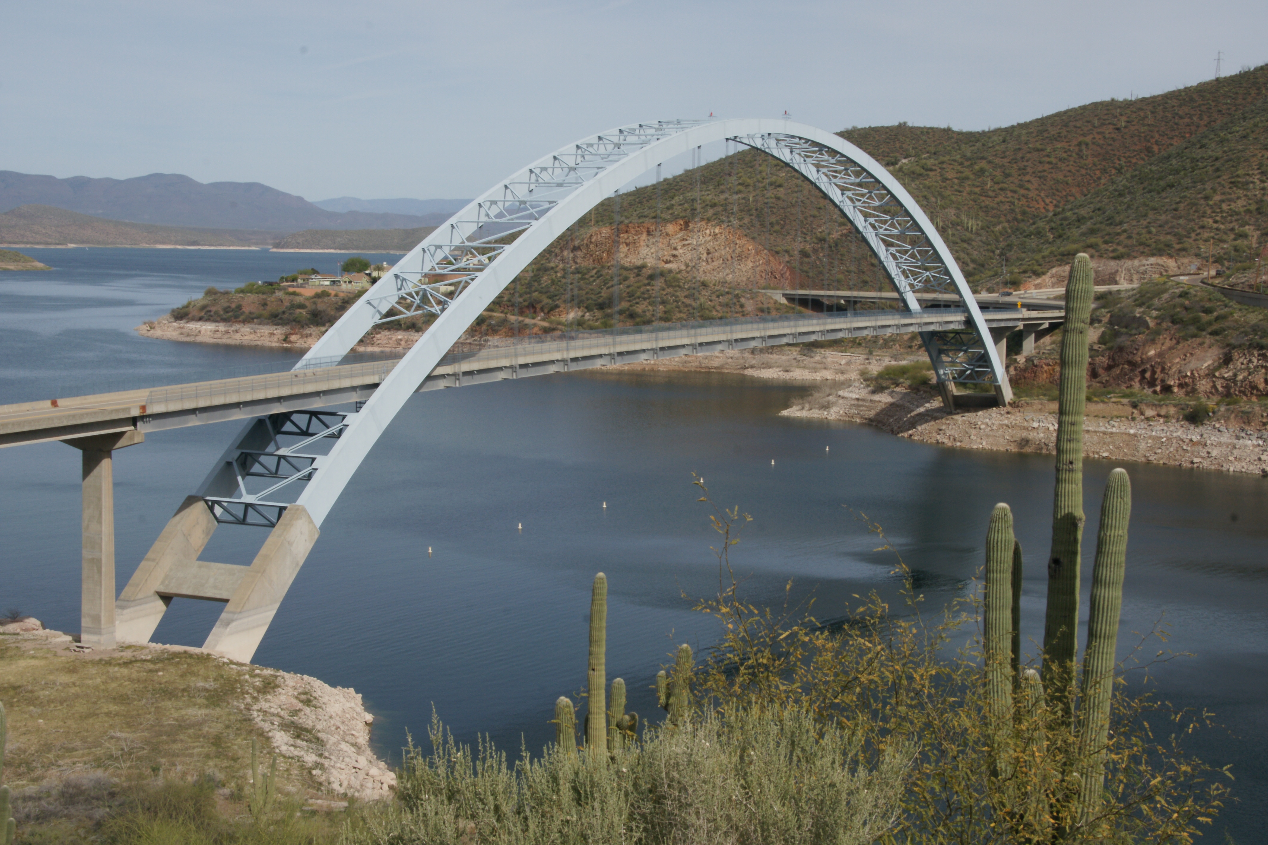 Stahlbrücke über See mit Saguaro-Kaktus