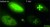 Microprobe SNAKE