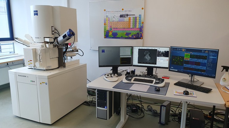 Rasterelektronenmikroskop (SEM, Fa. Zeiss) mit verbautem energiedispersivem Röntgenspektrometer (EDX, Fa. Oxford Instruments)