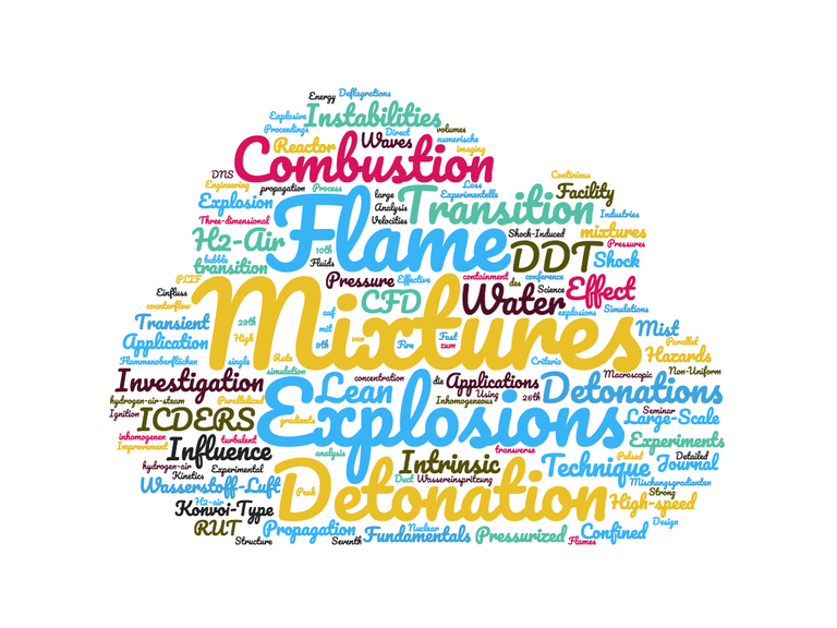 wordcloud_Hasslberger.png