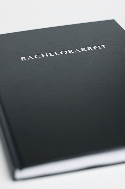 Bachelorarbeitsthemen HT 2023