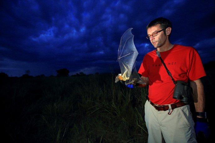 Icarus-Projekt  Wo die wilden Tiere wandern.jpg
