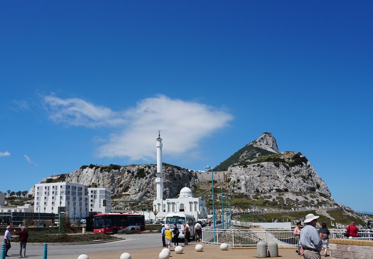 Ibrahim-al-Ibrahim Mosque