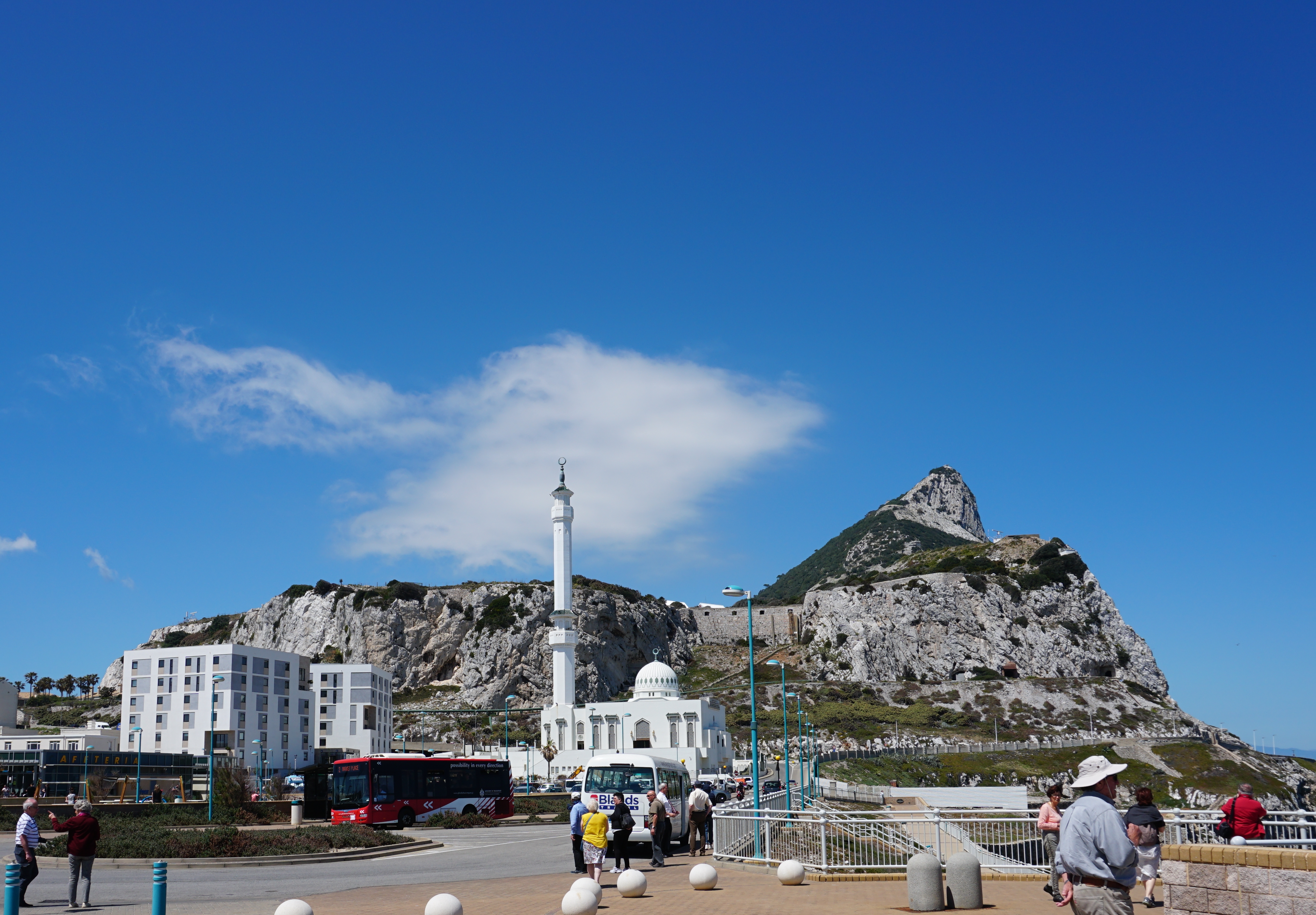 Ibrahim-al-Ibrahim Mosque