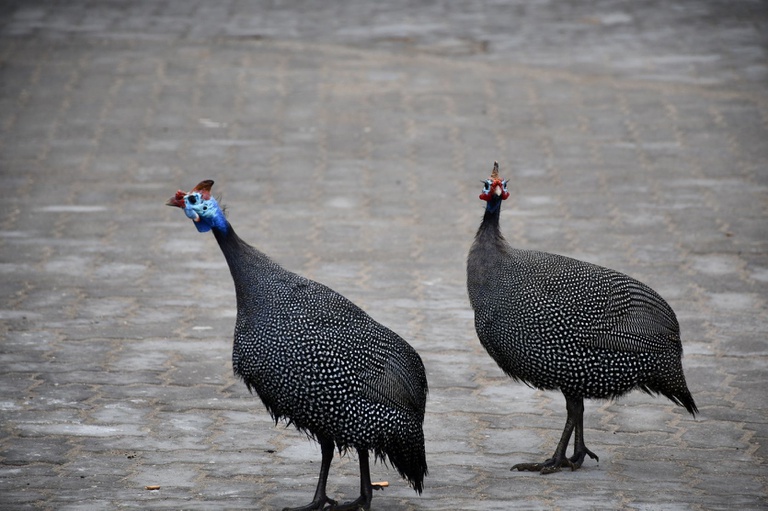 Streets of Swakopmund