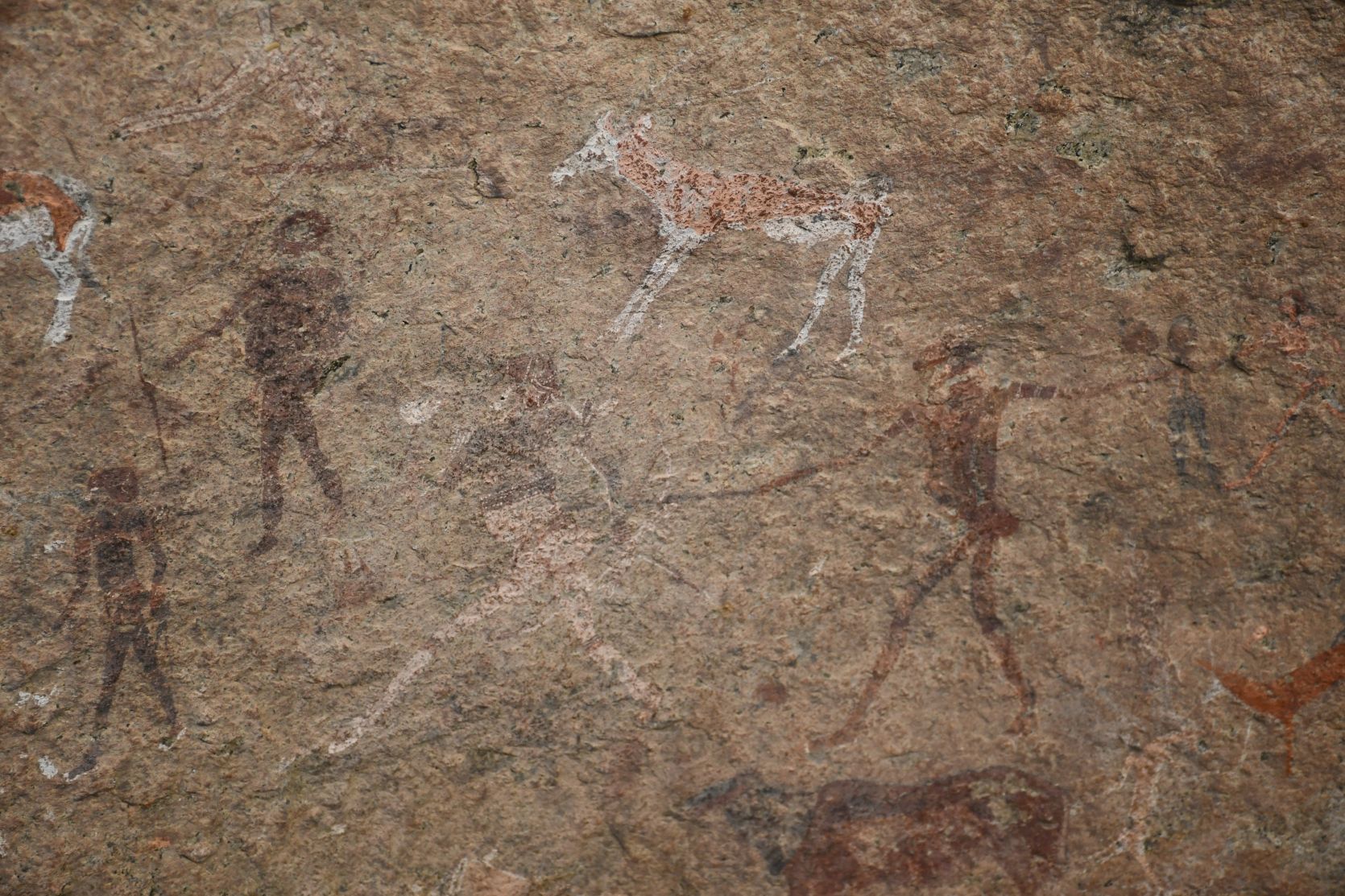 White Lady Paintings at Brandberg