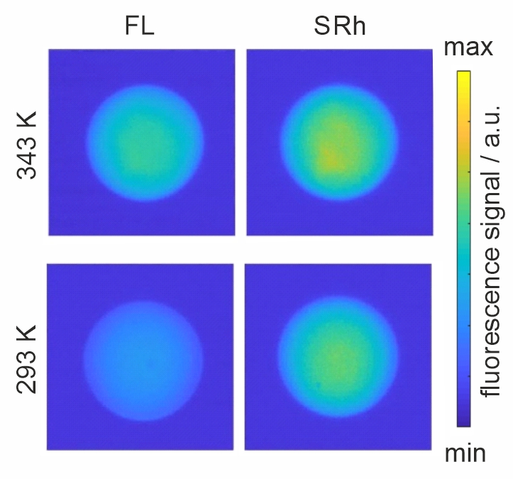 2-C LIF Droplets.jpg