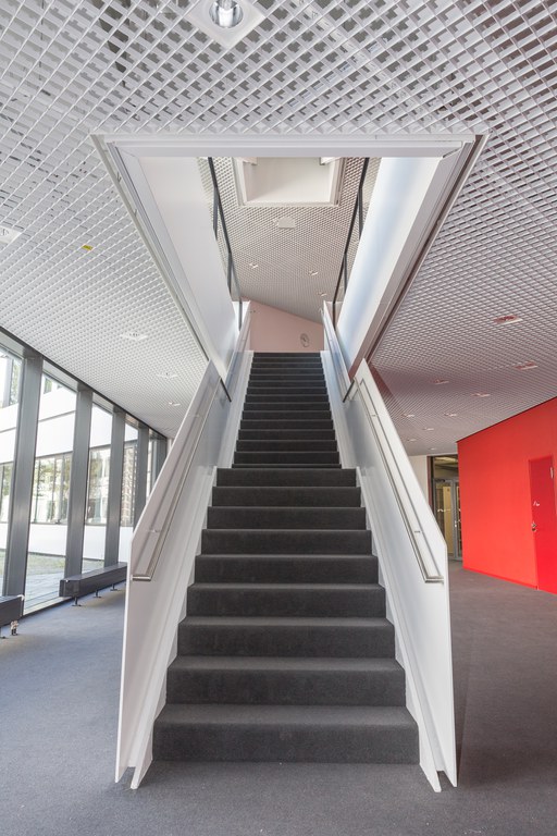 Neue Webseite der Universitätsbibliothek: Work in Progress