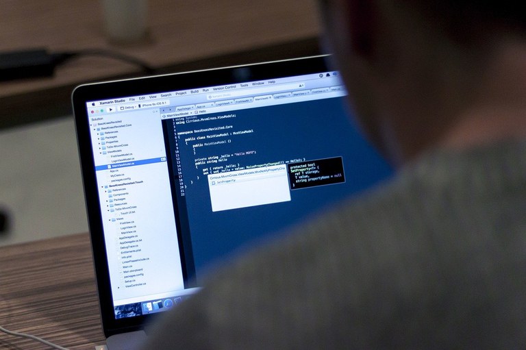 Umfrage zu Secure Coding Guidelines in der Industrie